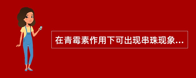 在青霉素作用下可出现串珠现象的需氧芽孢杆菌是（）