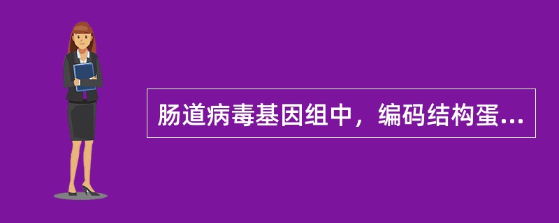 肠道病毒基因组中，编码结构蛋白的基因是（）