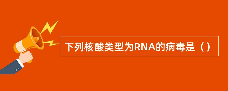 下列核酸类型为RNA的病毒是（）