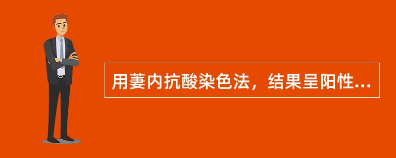 用萋内抗酸染色法，结果呈阳性的菌体是（）