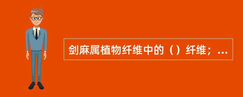 剑麻属植物纤维中的（）纤维；合成纤维中使用最早、使用最广的是（）。