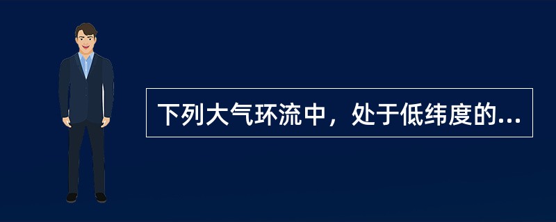 下列大气环流中，处于低纬度的是（）。