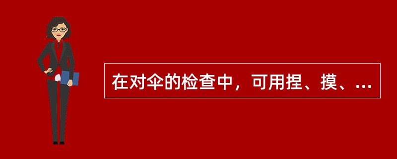 在对伞的检查中，可用捏、摸、掂直至打开的方法进行检查，要特别注意对（）的检查。