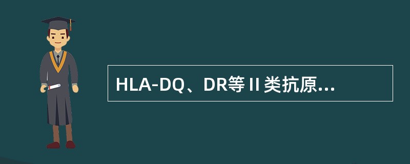 HLA-DQ、DR等Ⅱ类抗原仅分布于______________和_______