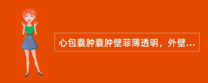 心包囊肿囊肿壁菲薄透明，外壁为______________，内壁为_______