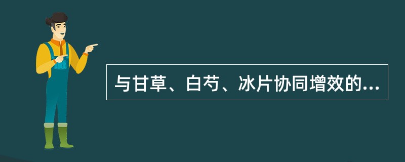 与甘草、白芍、冰片协同增效的是（）