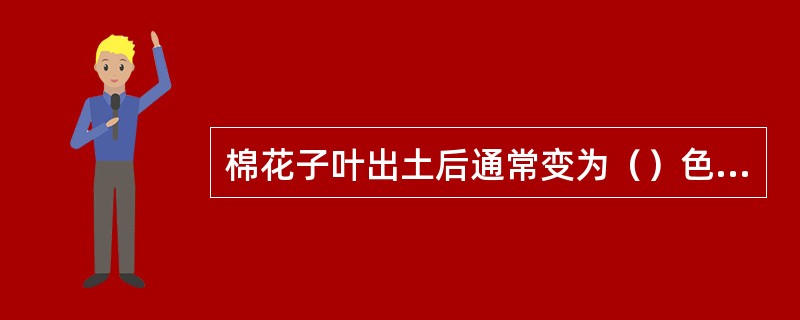 棉花子叶出土后通常变为（）色，可以暂时进行光合作用。