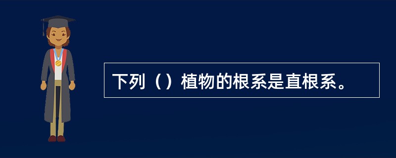 下列（）植物的根系是直根系。