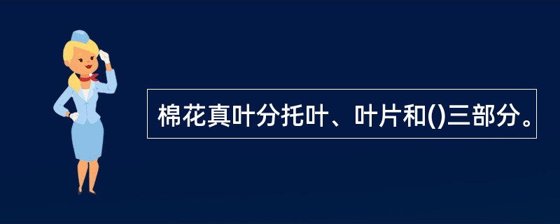 棉花真叶分托叶、叶片和()三部分。