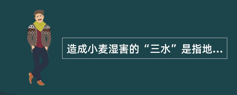 造成小麦湿害的“三水”是指地面水、地下水和（）。