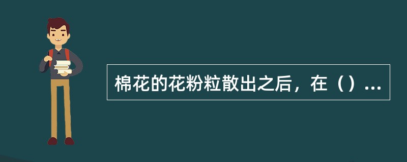 棉花的花粉粒散出之后，在（）小时内有相当高的生活力。