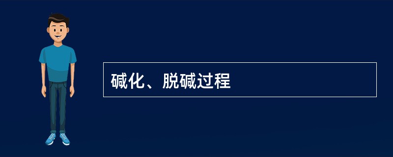 碱化、脱碱过程