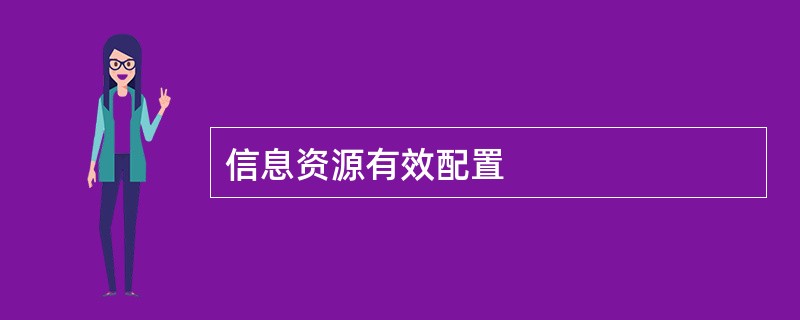 信息资源有效配置