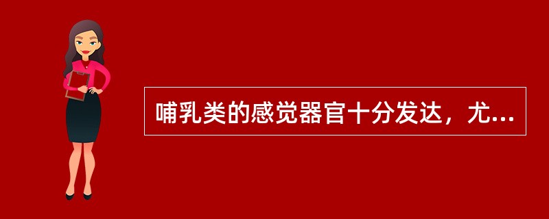 哺乳类的感觉器官十分发达，尤其表现在嗅觉和听觉的高度灵敏。（）