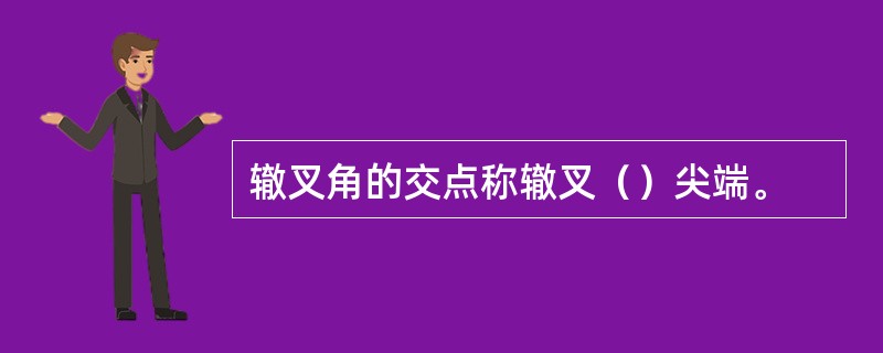 辙叉角的交点称辙叉（）尖端。