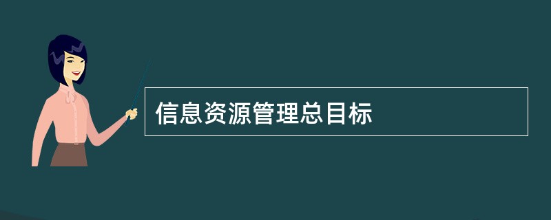 信息资源管理总目标