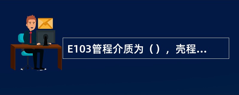 E103管程介质为（），壳程介质为（）
