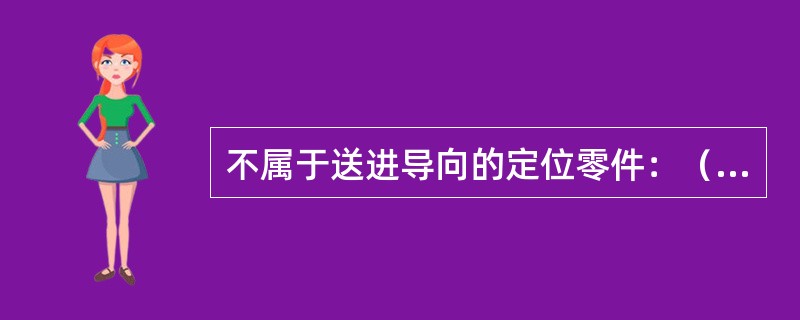 不属于送进导向的定位零件：（）。