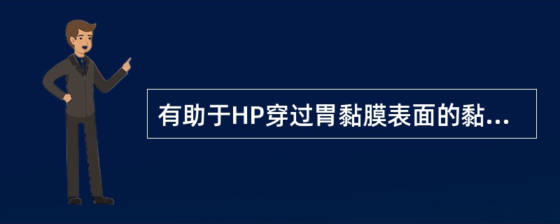 有助于HP穿过胃黏膜表面的黏液层与胃黏膜上皮细胞接触的成分是（）