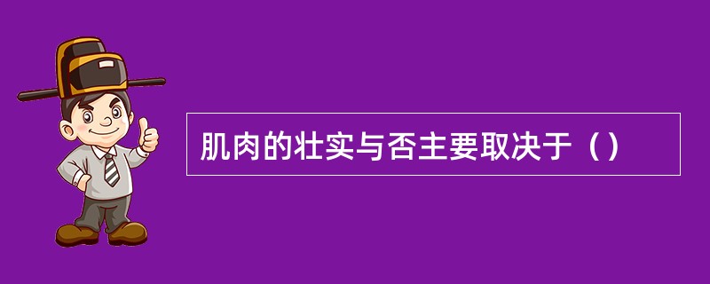 肌肉的壮实与否主要取决于（）