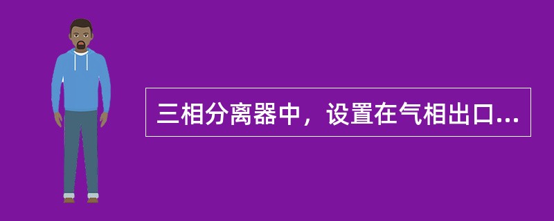 三相分离器中，设置在气相出口用于捕获气相中小液滴的部件为（）。