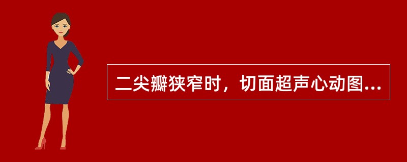 二尖瓣狭窄时，切面超声心动图可见（）。