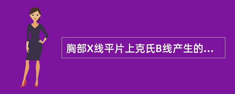 胸部X线平片上克氏B线产生的机理是（）。