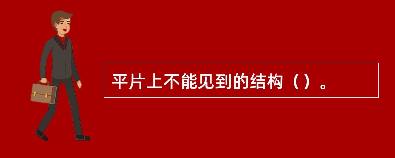 平片上不能见到的结构（）。