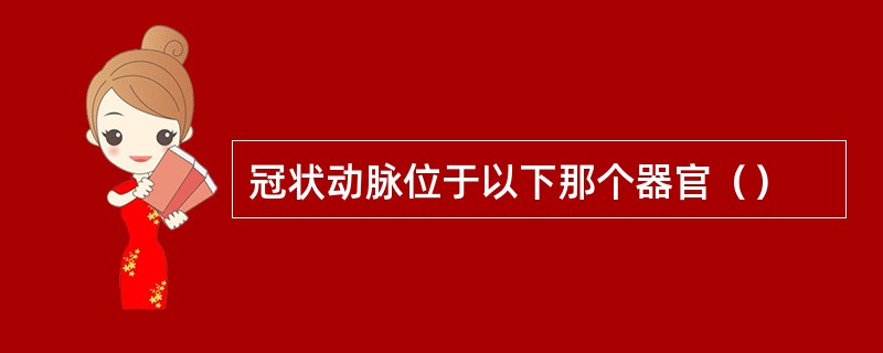冠状动脉位于以下那个器官（）