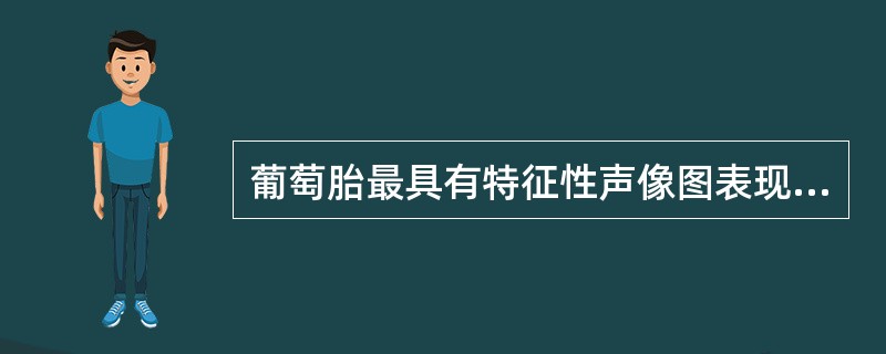 葡萄胎最具有特征性声像图表现为（）。