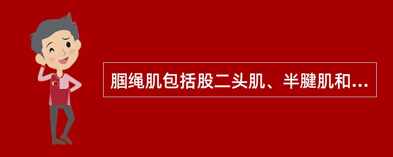 腘绳肌包括股二头肌、半腱肌和半膜肌，主要起屈膝伸髋的作用。（）