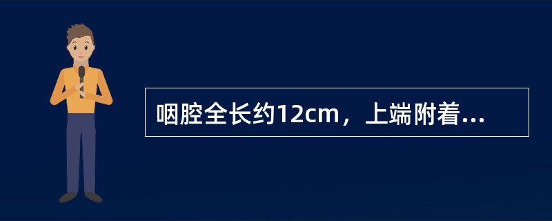 咽腔全长约12cm，上端附着于颅底，下端平第6颈椎下缘平面续于食管。（）