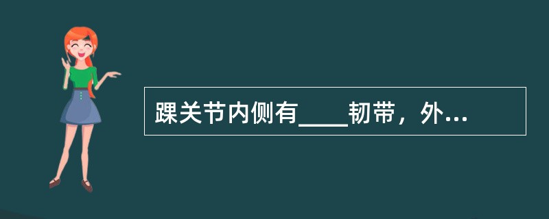 踝关节内侧有____韧带，外侧有____、____和____3条韧带。