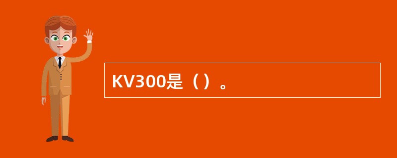 KV300是（）。