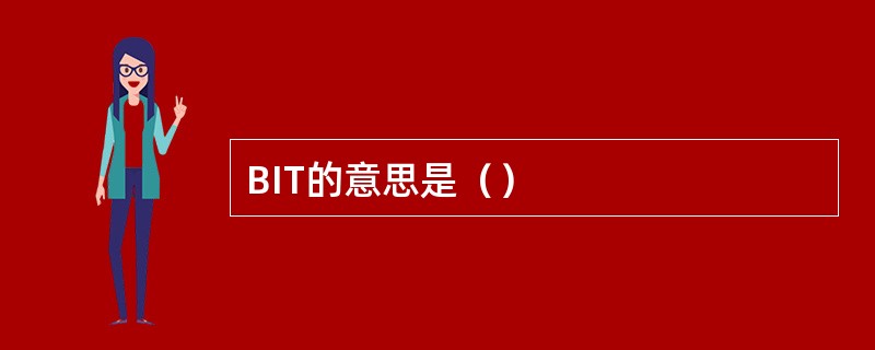 BIT的意思是（）