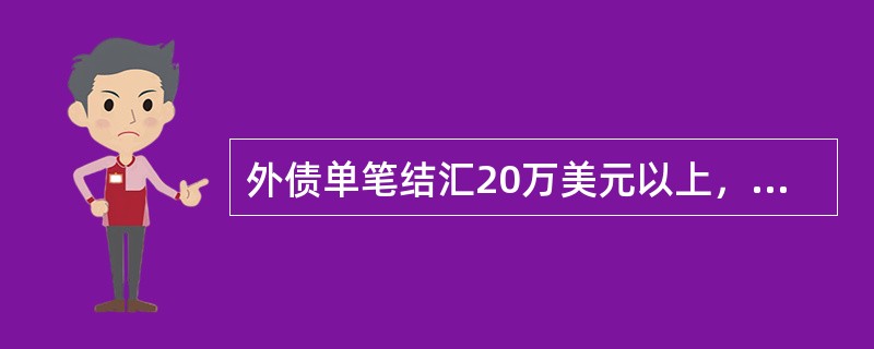 外债单笔结汇20万美元以上，须提供（）。