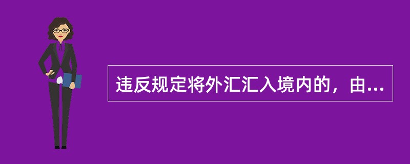 违反规定将外汇汇入境内的，由外汇管理机关责令改正，处违法金额（）以下的罚款，情节