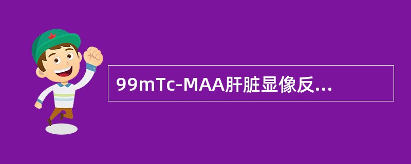 99mTc-MAA肝脏显像反映的是（）