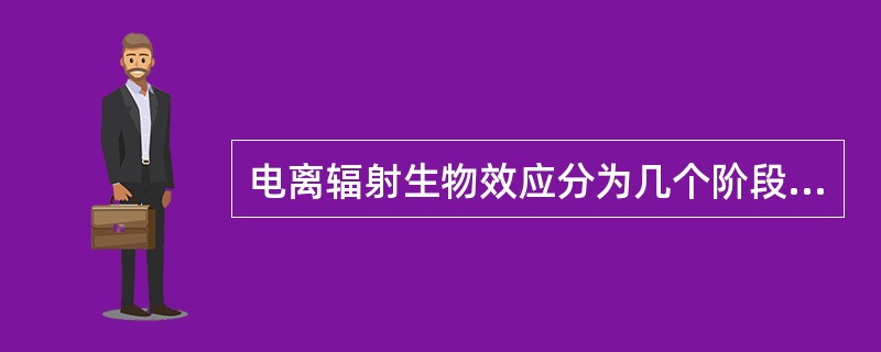 电离辐射生物效应分为几个阶段（）。