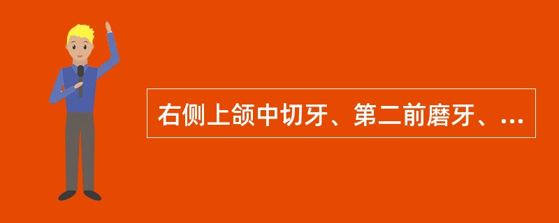 右侧上颌中切牙、第二前磨牙、第一磨牙，左侧上颌中切牙、第一前磨牙、第一、二磨牙缺