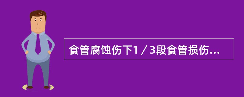 食管腐蚀伤下1／3段食管损伤最重，瘢痕狭窄也最多见。（）