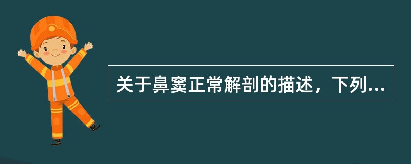 关于鼻窦正常解剖的描述，下列哪项不正确（）。