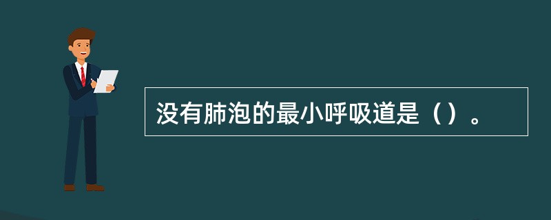 没有肺泡的最小呼吸道是（）。