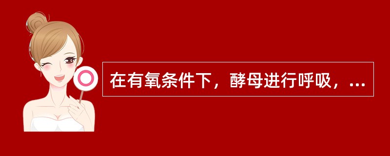 在有氧条件下，酵母进行呼吸，将糖分解为（）和（）；在无氧条件下，酵母进行无氧发酵