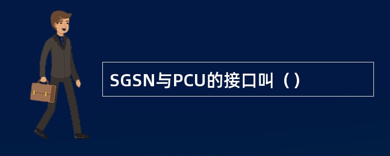 SGSN与PCU的接口叫（）