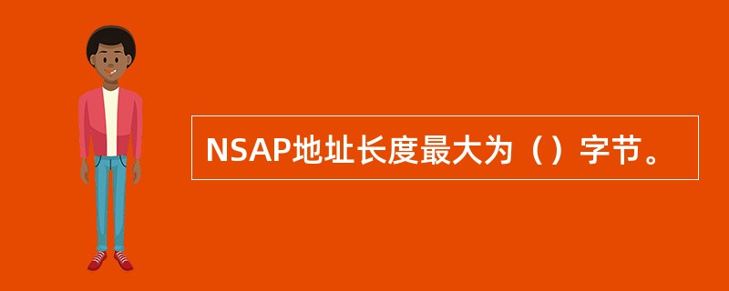 NSAP地址长度最大为（）字节。