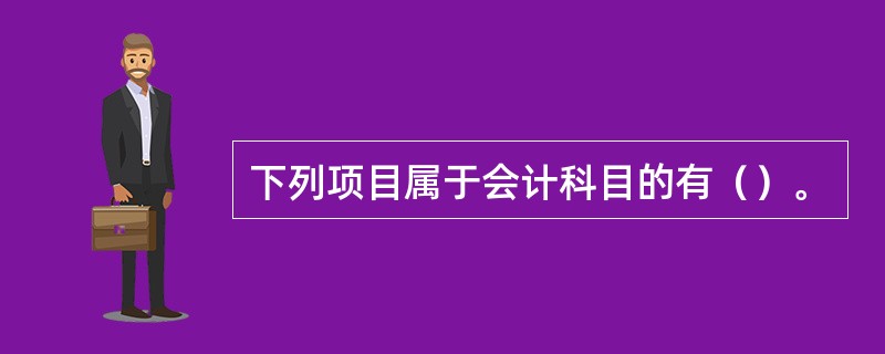 下列项目属于会计科目的有（）。