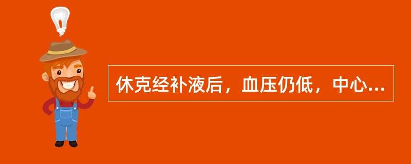 休克经补液后，血压仍低，中心静脉压不高，5～10分钟内补液250ml后，血压不变