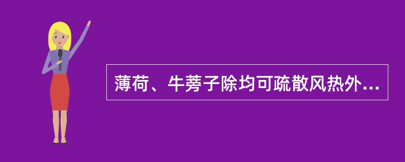 薄荷、牛蒡子除均可疏散风热外，还具有的功效是（）