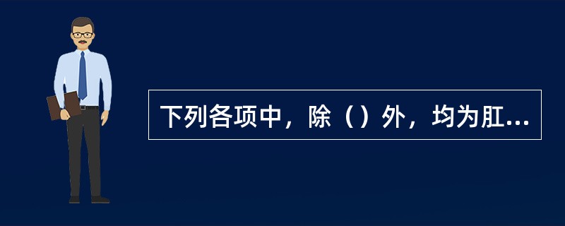 下列各项中，除（）外，均为肛门直肠疾病的好发部位